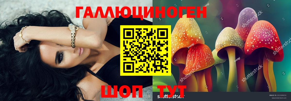 Псилоцибиновые грибы Psilocybine cubensis Спасск-Дальний